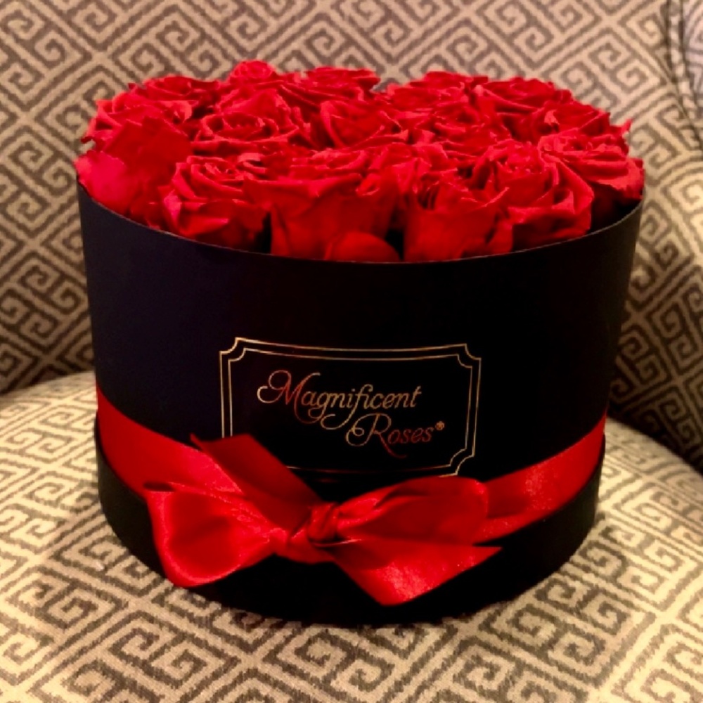 Magnificent roses